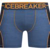Icebreaker Men's Anatomica Zone Long Boxers Sea Blue HTHR/Koi-0