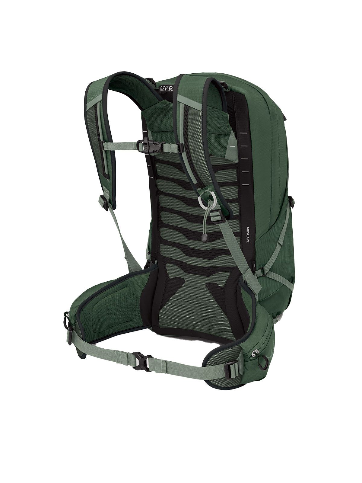 osprey-talon-22-green-canopy-pine-leaf-bak_1920x1920