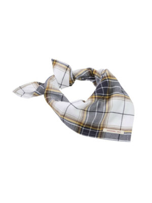 Amundsen Field Bandana Antarctic Tartan