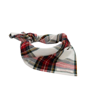 Amundsen Field Bandana Chequered Red
