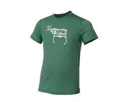 Aclima Aclima Lw T-Shirt Children Deepgrassgreen 127114056 Platou Sport 1