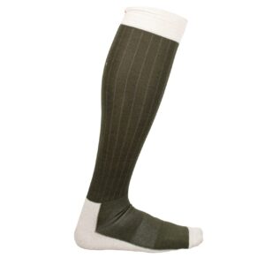 Amundsen Performance Socks Earth