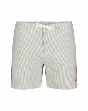 Amundsen Soak Swim Trunk Mens Lichen Green