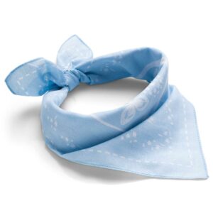Amundsen V-Bond Bandana Ocean Spray