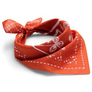 Amundsen V-Bond Bandana Weathered Red