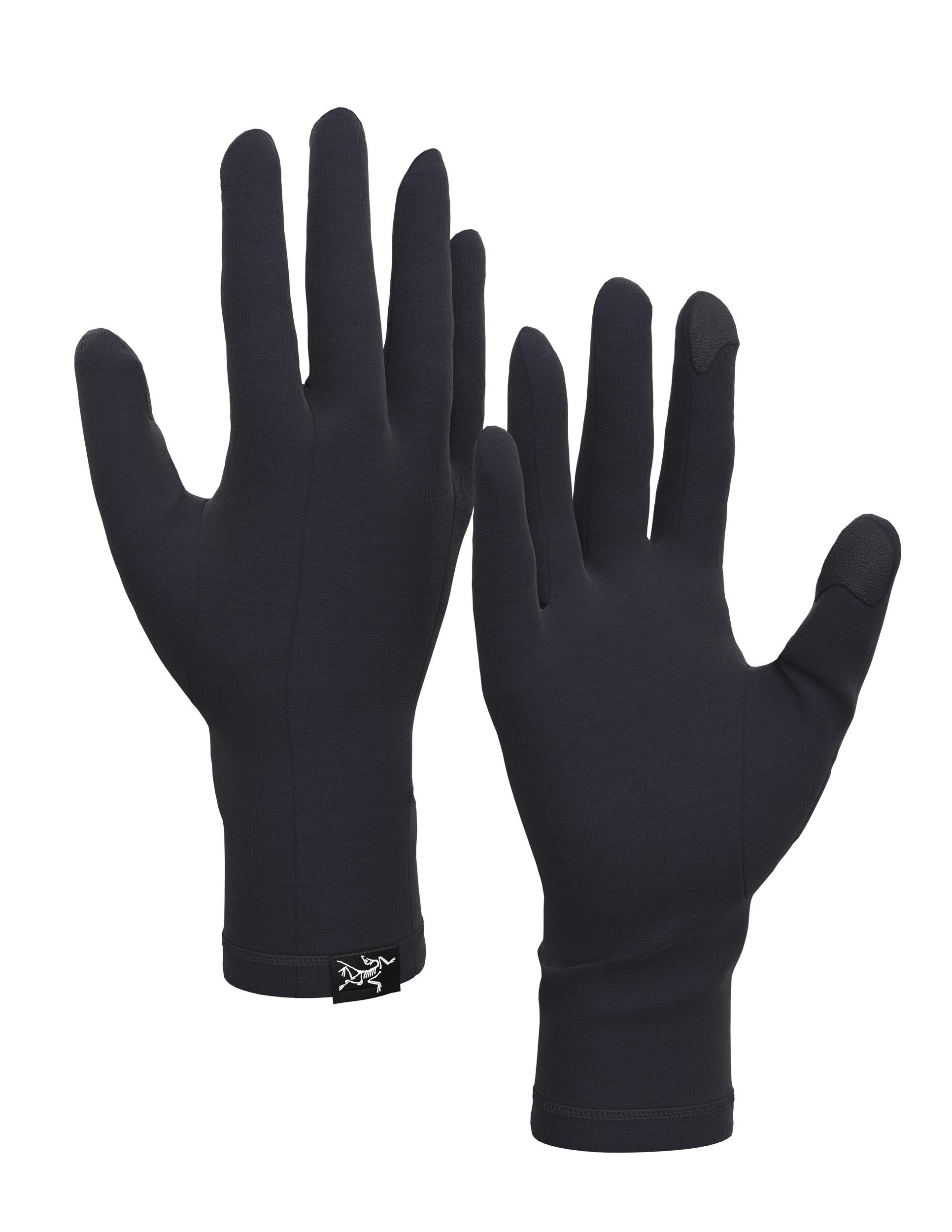 ArcTeryx Arcteryx Gothic Glove Black X000006539 Platou Sport 1