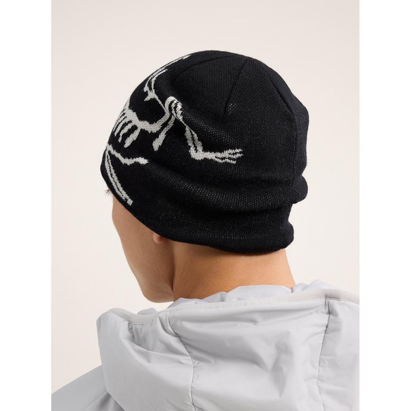 Arc'teryx Bird Head Toque Orca - PlatouSport