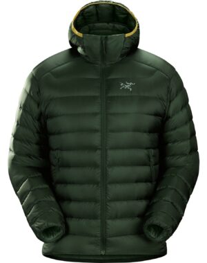 Arc'teryx Cerium LT Hoody Mens Conifer
