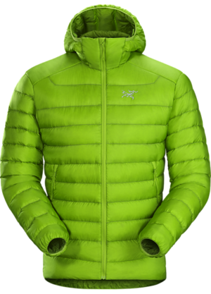 Arc'teryx Cerium LT Hoody Mens Utopia