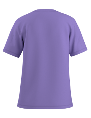 Arcteryx Arcteryx Kragg SL Cotton Emblem Crew SS Womens Aster X000009502 Platou Sport 1