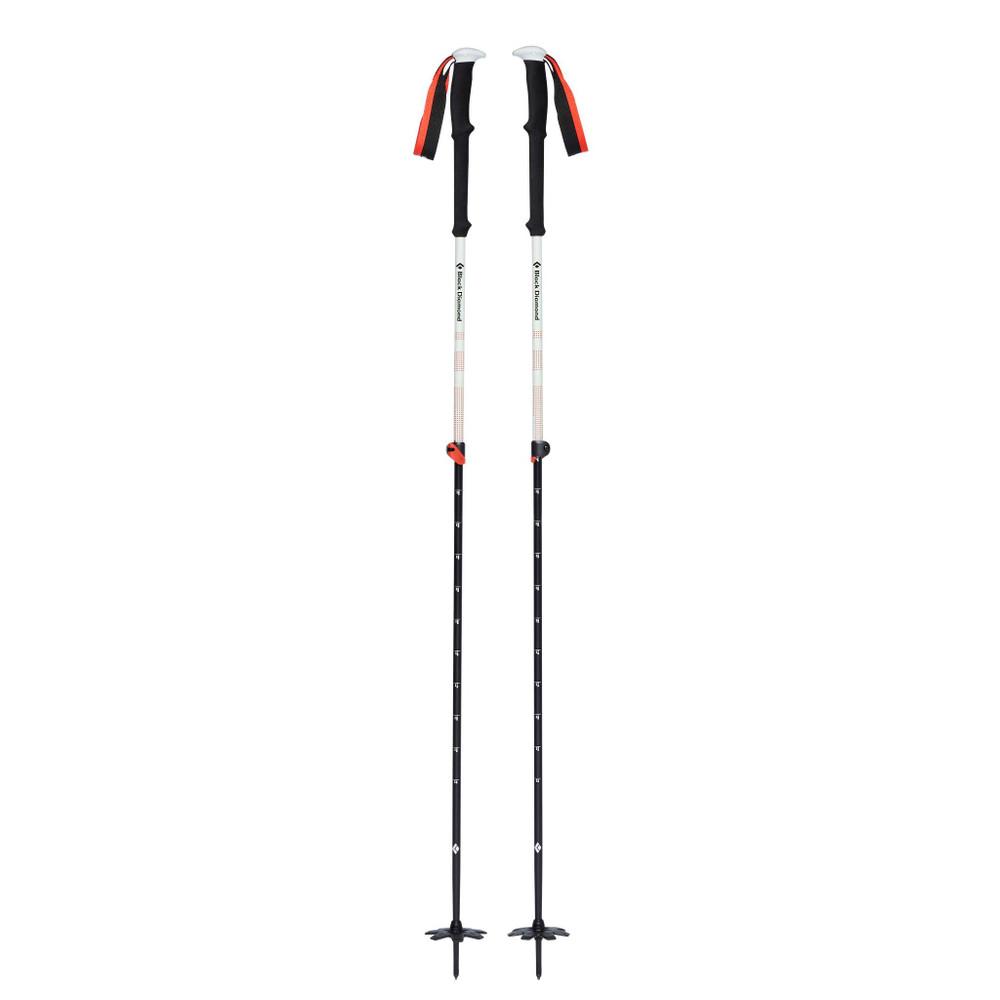 Black Diamond Black Diamond Expedition 2 Ski Poles BD111589 Platou Sport 1
