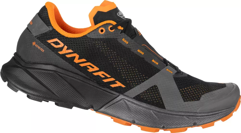 Dynafit Dynafit Ultra 100 GTX Mens Lichen-Atlantic 64089 Platou Sport 1