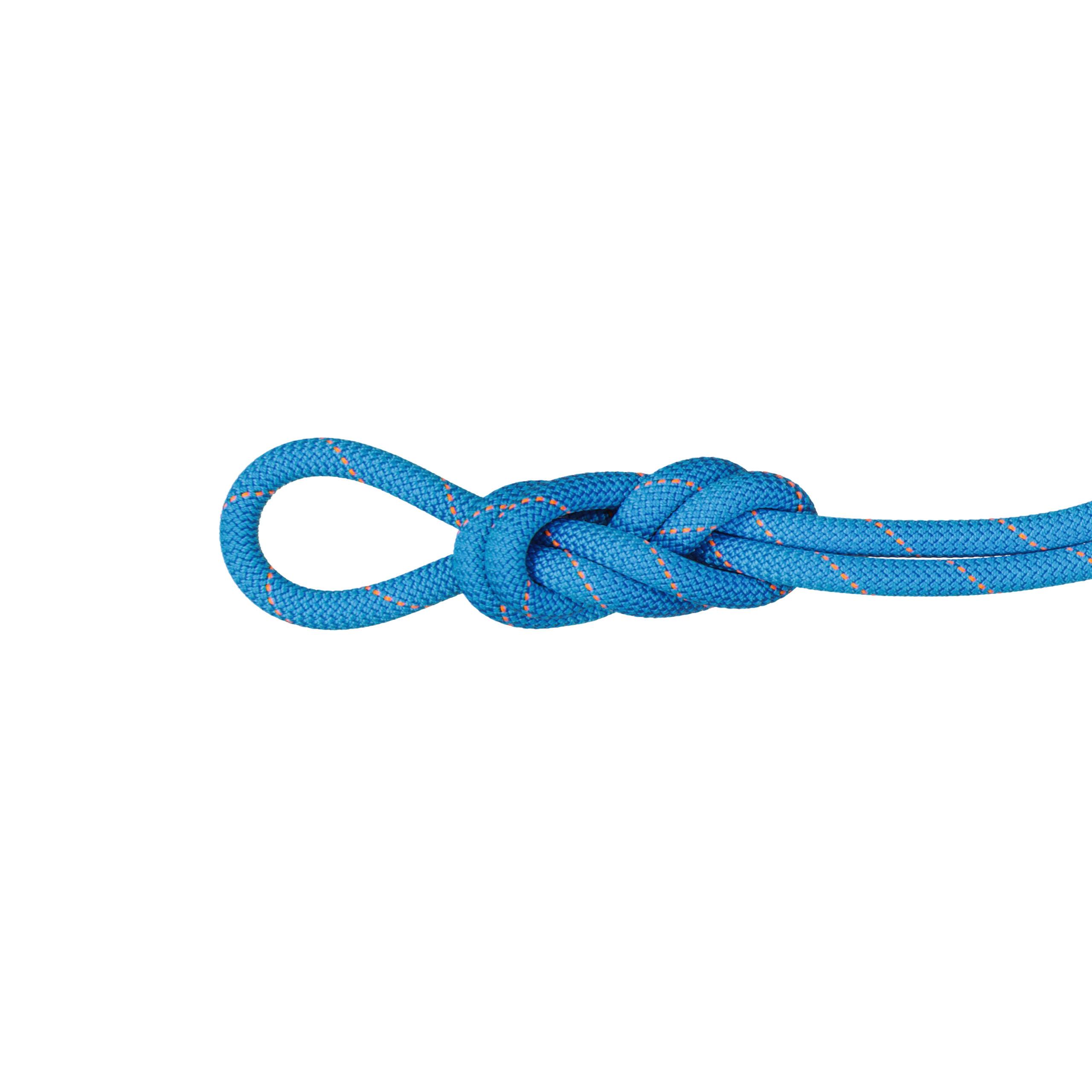 Mammut Mammut 9.9 Gym Workhorse Dry Rope Dry Standard 2010-04320 Platou Sport 1