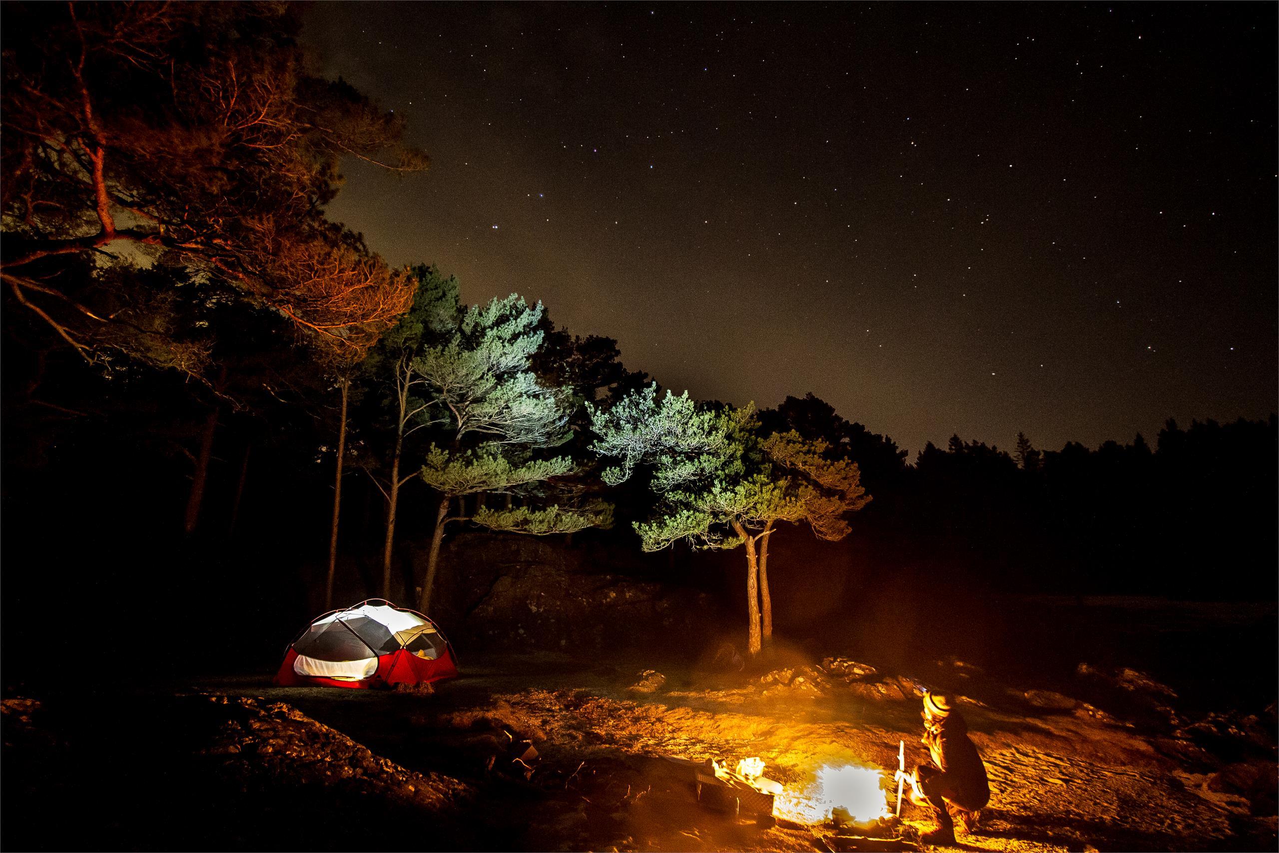 Msr MSR Mutha Hubba Nx Tent Green 11-406 Platou Sport 4