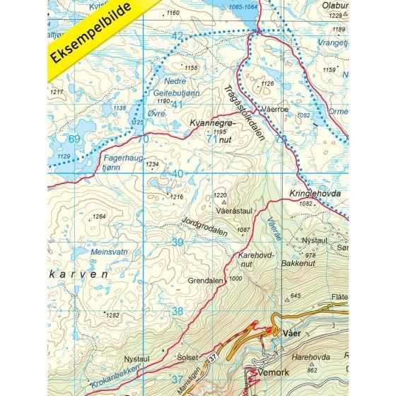Nordeca Topo 3000 Turkart Gaustatoppen 1:50 000 3018 Platou Sport 4