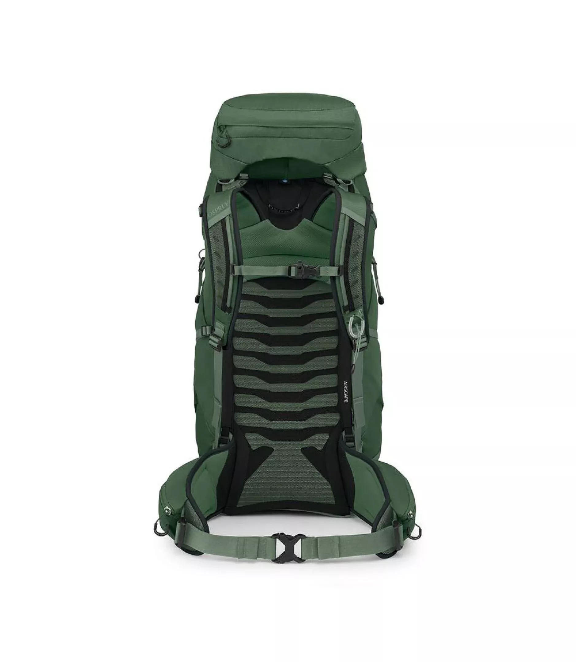 Osprey Osprey Talon 44 Green Canopy-Pine Leaf 3290 Platou Sport 2