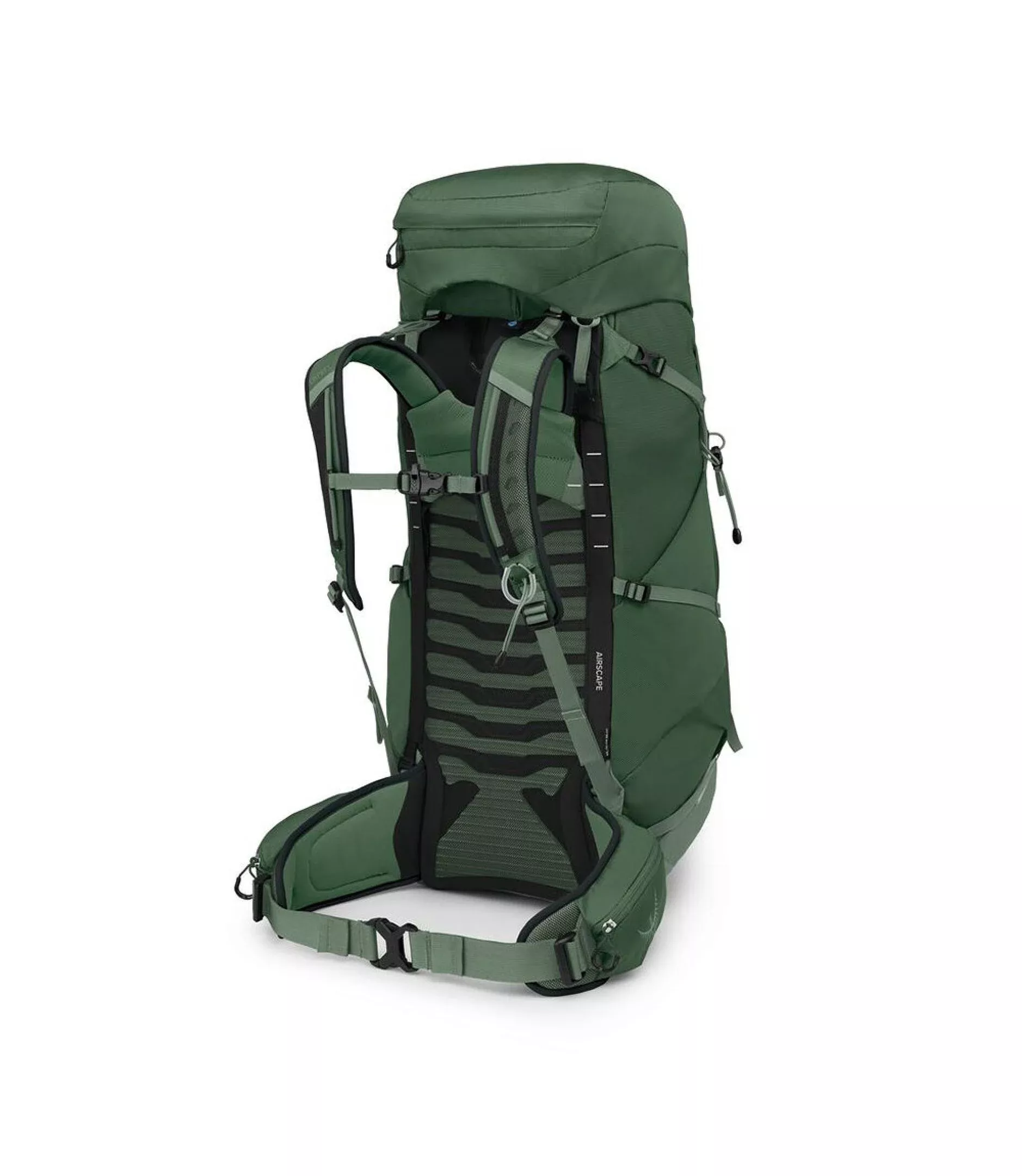 Osprey Osprey Talon 44 Green Canopy-Pine Leaf 3290 Platou Sport 4