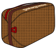 Patagonia Patagonia Black Hole Cube 6l Talon Gold P49367 Platou Sport 1