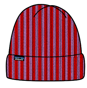Patagonia Patagonia Fishermans Rolled Beanie Contrast Stripe: Brisk Purple P29105 Platou Sport 1