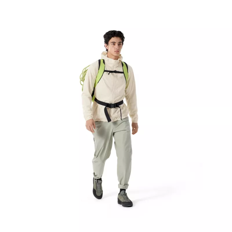 Arc'teryx Squamish Hoody Mens Sea Salt