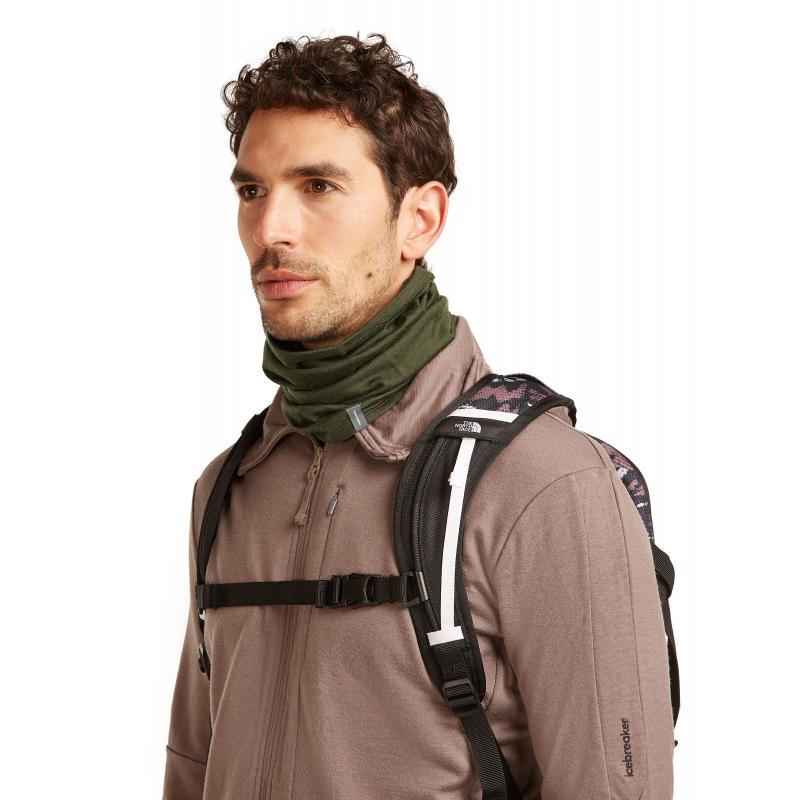 Icebreaker Icebreaker Unisex 200 Oasis Flexi Chute Dk Loden 100962 Platou Sport Bergen 2