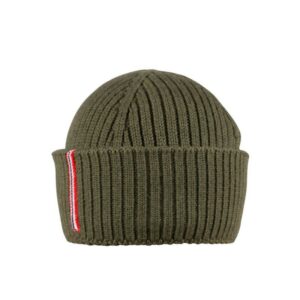 Amundsen Merino Beanie Earth
