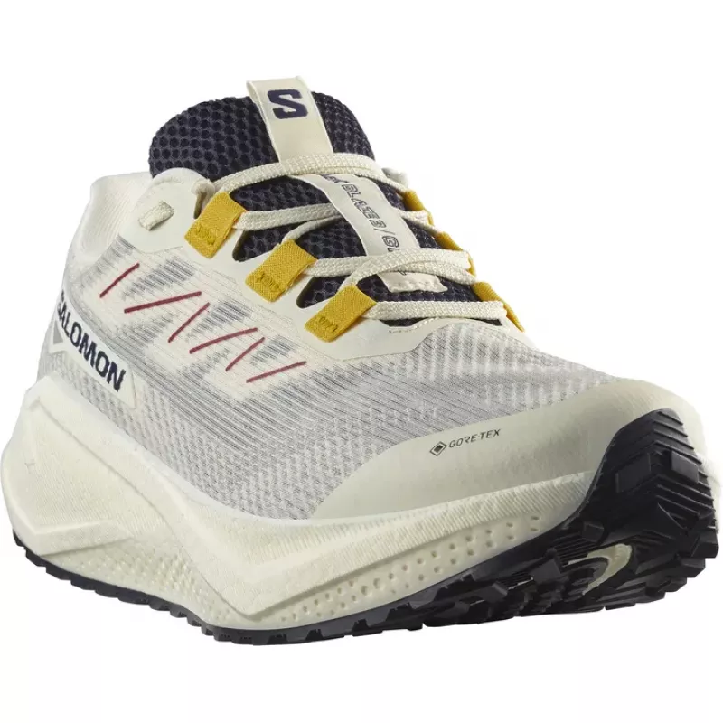 Salomon Aero Blaze 3 Gravel GTX Mens Vanilla Ice/Astral Aura/Lemon - Bilde 4