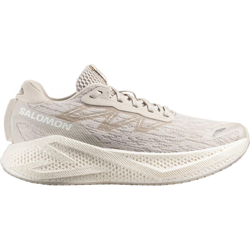 Salomon Aero Glide 4 Silver Cloud