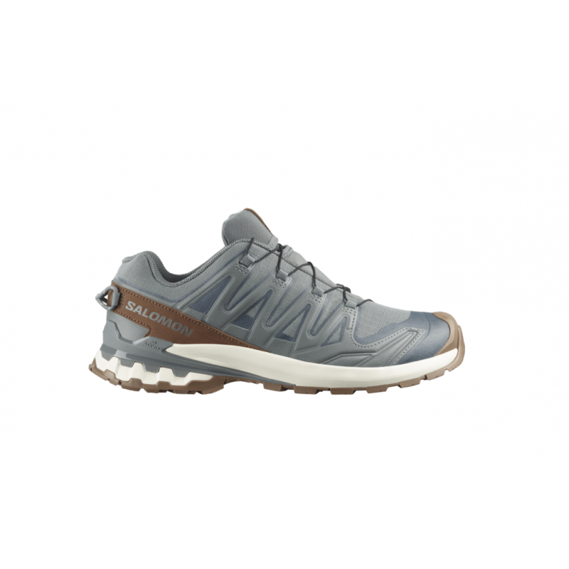 Salomon Xa Pro 3D V9 Gtx Lifelong Mens Sedona Sage / Coyote Brown / Vanilla Ice