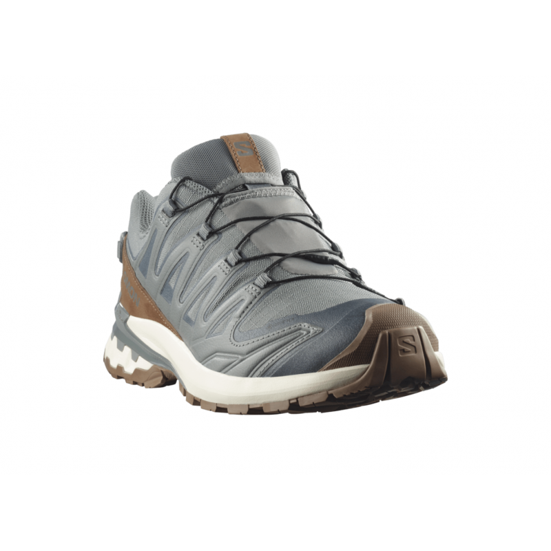 Salomon Xa Pro 3D V9 Gtx Lifelong Mens Sedona Sage / Coyote Brown / Vanilla Ice - Bilde 5