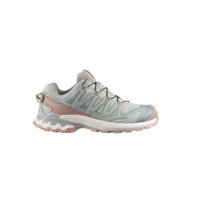 Salomon Xa Pro 3D V9 Gtx Lifelong Womens Wrought Iron / Oxford Tan / Vanilla Ice