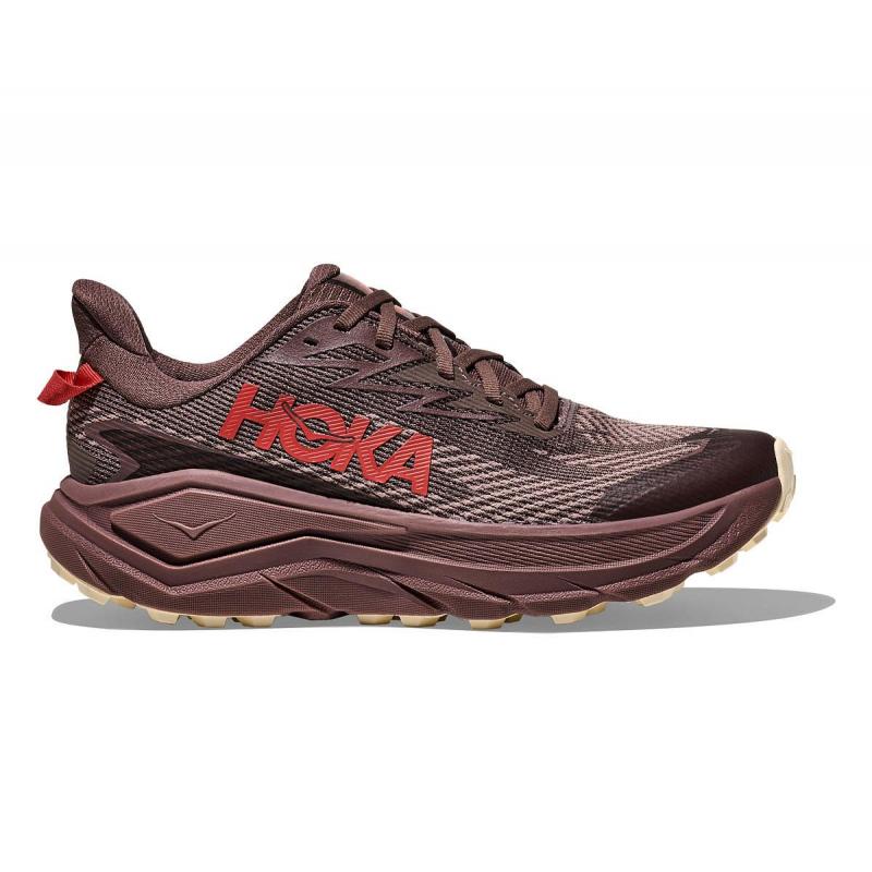 Hoka Challenger 8 GTX Womens Smoky Quartz/Alabaster