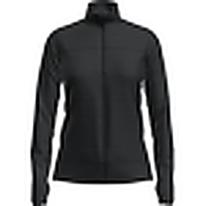 Icebreaker Icebreaker Wom Mer 300 RealFleece Desc LS Zip 0A57CR Platou Sport Bergen 1